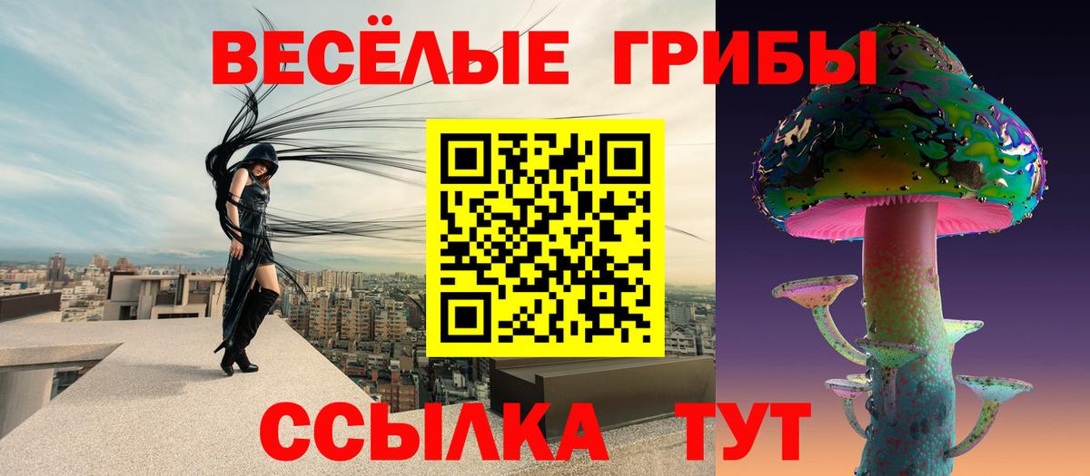Котельники  Псилоцибиновые грибы ЛСД  Вход с VPN 