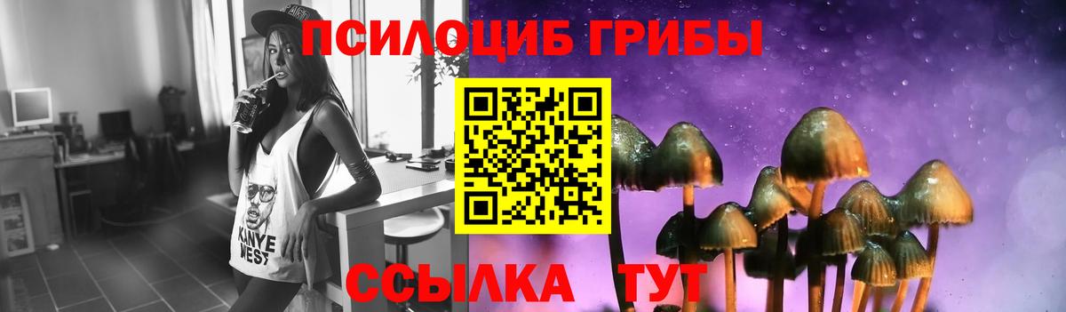 Галлюциногенные грибы MAGIC MUSHROOMS Котельники